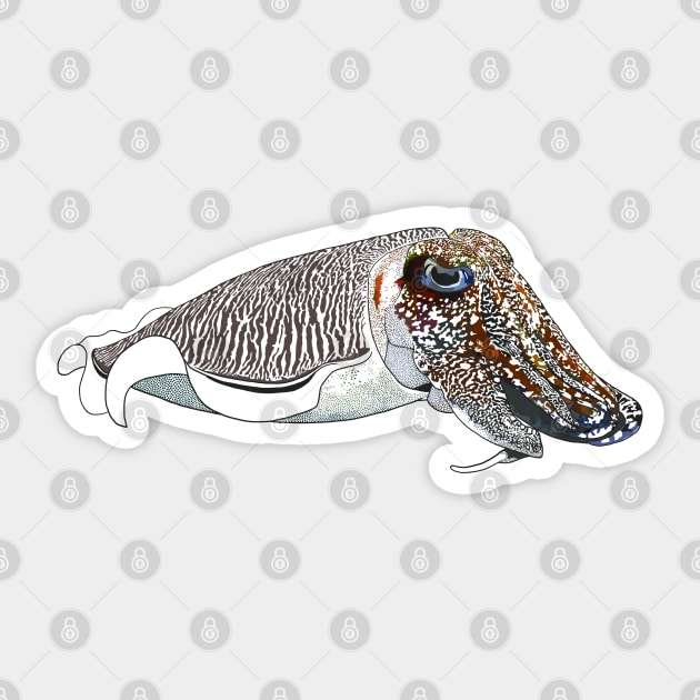 Cuttlefish 2 (Linework) Sticker by ziafrazier